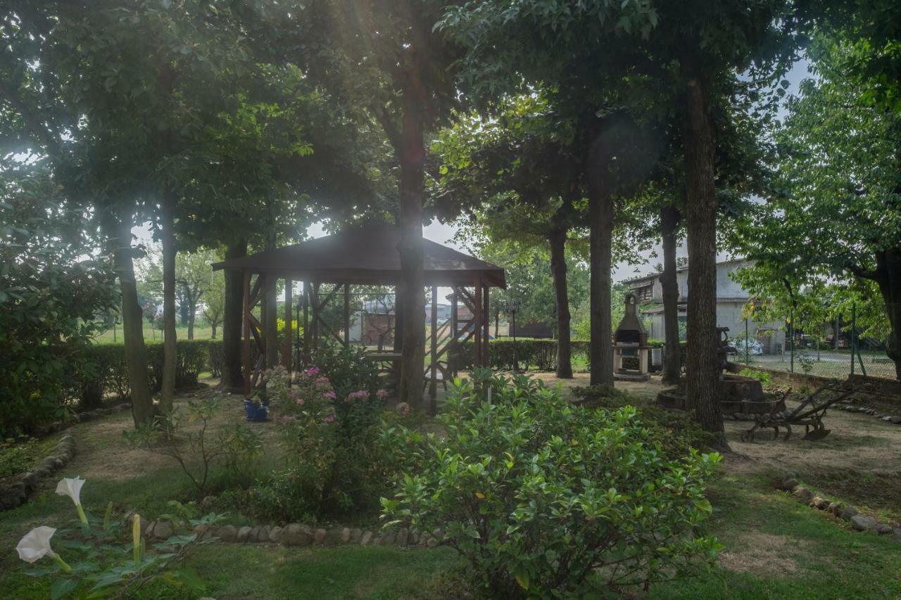 B&B Le Camelie Bareggio Dış mekan fotoğraf